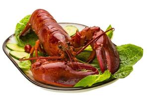 Large Lobster on white background photo