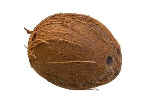 Coconut on white background photo