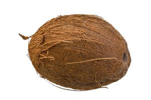 Coconut on white background photo