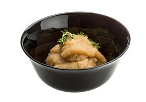 Cod roe in the bowl photo