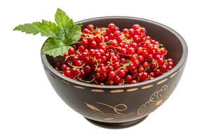 Red currant isolated on white background photo