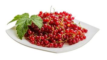 Red currant isolated on white background photo