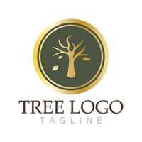 árbol logo icono vector ilustración design.vector silueta de un árbol plantillas de árbol logo y raíces árbol de la vida diseño ilustración