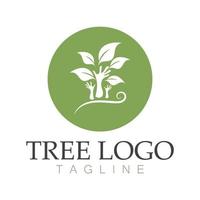 árbol logo icono vector ilustración design.vector silueta de un árbol plantillas de árbol logo y raíces árbol de la vida diseño ilustración