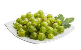 Gooseberries isolated on white background photo