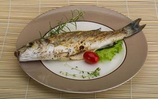 Grilled seabass fish photo