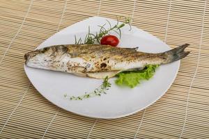 Grilled seabass fish photo