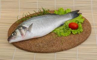 Raw seabass fish photo