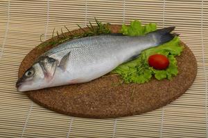 Raw seabass fish photo