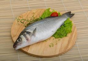 Raw seabass fish photo