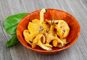 Chanterelle in a bowl on wooden background photo