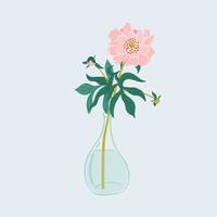 Pion branch in vase with water. Hand drawn botanical vector illustration. Floral decor, design element for invitation and greeting card.