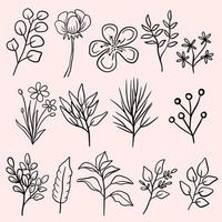 a set of handdrawn  botanical plant vector