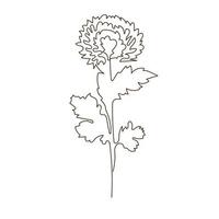 One line flower of chrysanthemum.  Minimalist continuous linear vector illustration. Modern wall art.