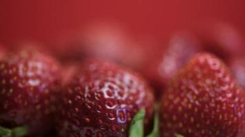 tas frais de fraises sauvages mûres tourne. récolte de fraises d'été sur un gros plan de plaque. video