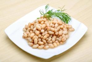 White canned beans photo