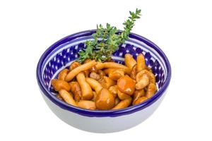 Armillaria in a bowl on white background photo