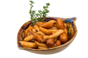 Armillaria in a bowl on white background photo