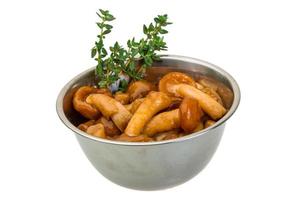 Armillaria in a bowl on white background photo