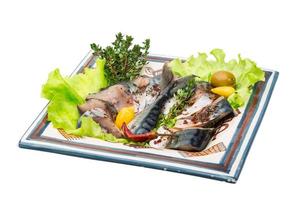 Mackerels on the plate and white background photo