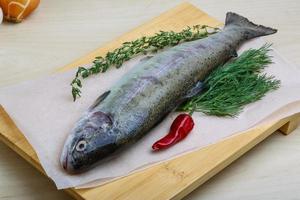 Raw trout on a board photo