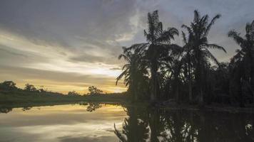 timelapse tramonto riflesso di palme da olio video