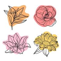 línea vectorial ilustración negra gráficos flores lirio, amapola, magnolia, manchas de colores de girasol vector