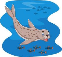 foca de dibujos animados nadando con peces vector