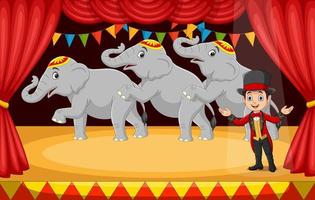 domador de circo de dibujos animados con elefantes en el escenario vector