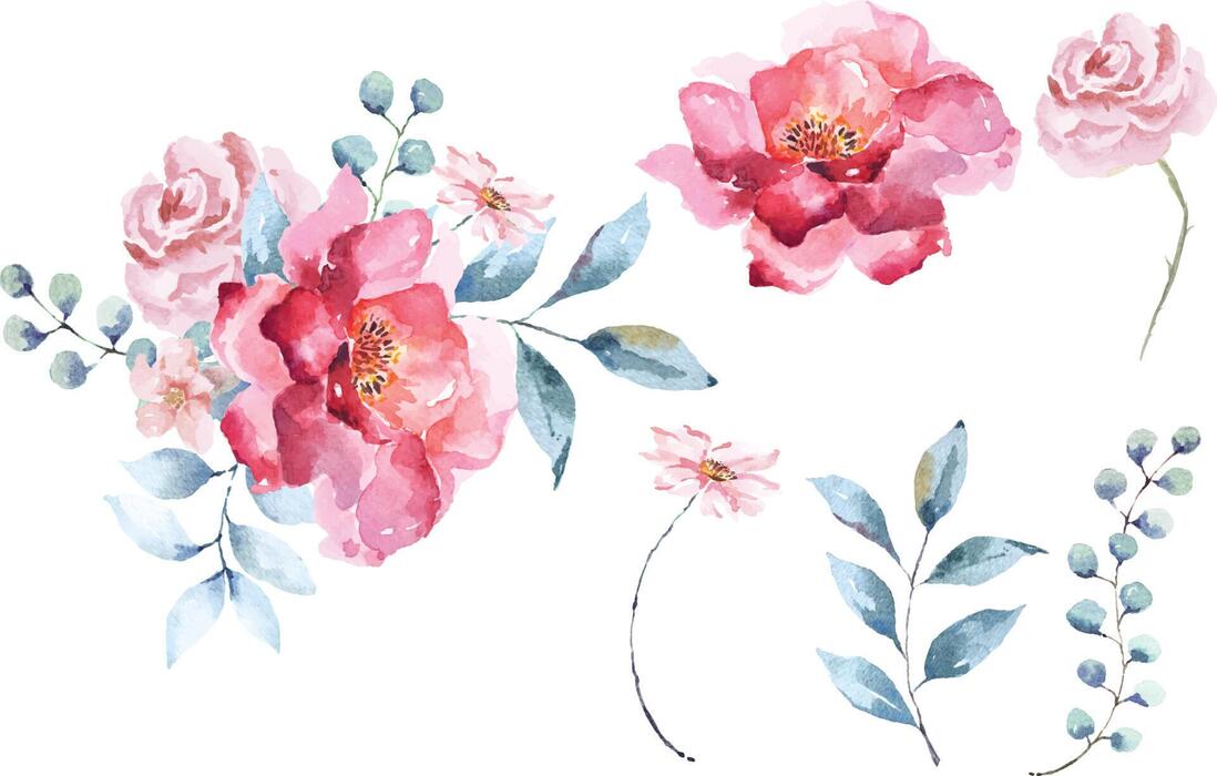 Watercolor Rose Vector Art, Icons, and Graphics for Free Download