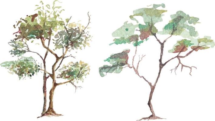 Hand drawn tree watercolor.Bushes, Sketches for landscape design.