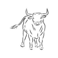 bosquejo del vector de la vaca del toro