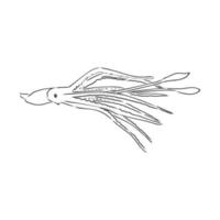 squid vector sketch