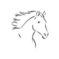 horse vector sketch