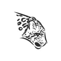 leopard vector sketch