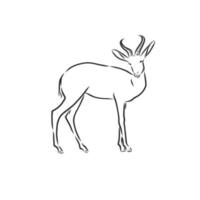 roe deer vector sketch