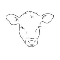 bosquejo del vector de la vaca del toro