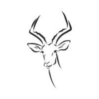 roe deer vector sketch