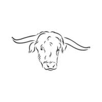 bull cow vector sketch