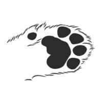 trail of a cat vector sketch