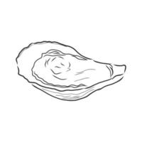 oyster vector sketch