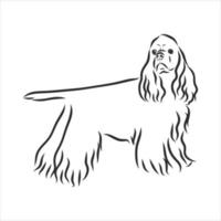 dog vector sketch