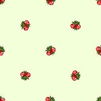 pattern with berries vector