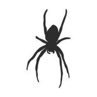 dibujo vectorial de araña vector