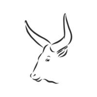 bull cow vector sketch