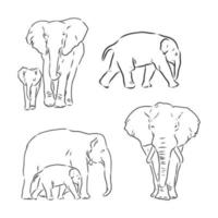 dibujo vectorial de elefante vector