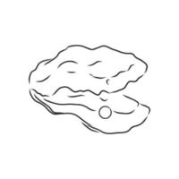 oyster vector sketch