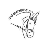 horse vector sketch