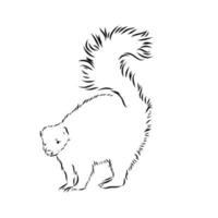 skunk vector sketch