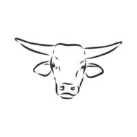 bull cow vector sketch